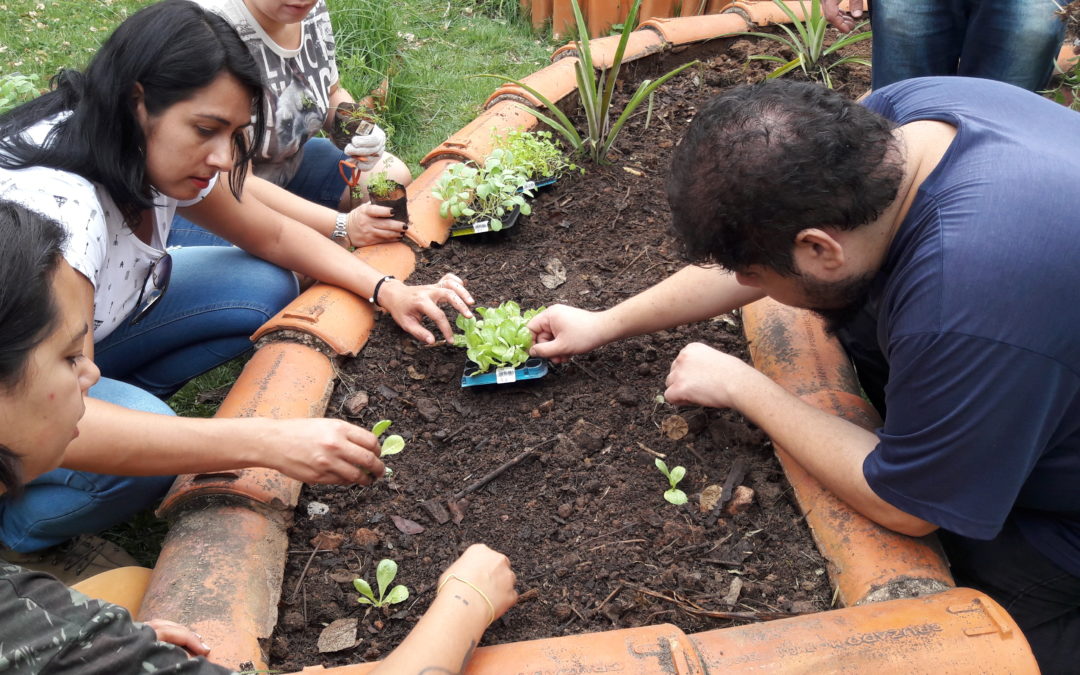 Programa de Educação Ambiental (PEA) | Suzano