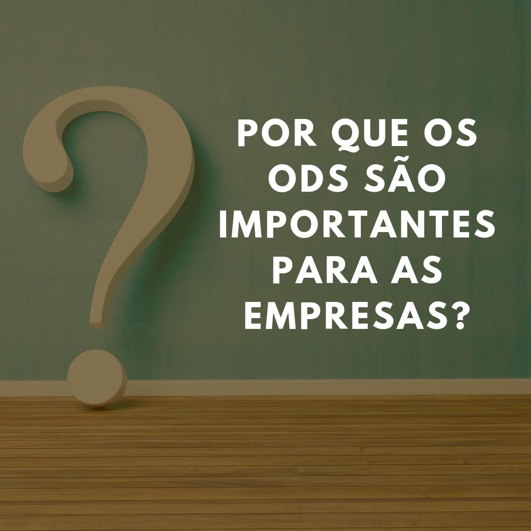 Por que os ODSs são importantes para as empresas?