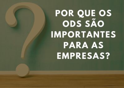 Por que os ODSs são importantes para as empresas?