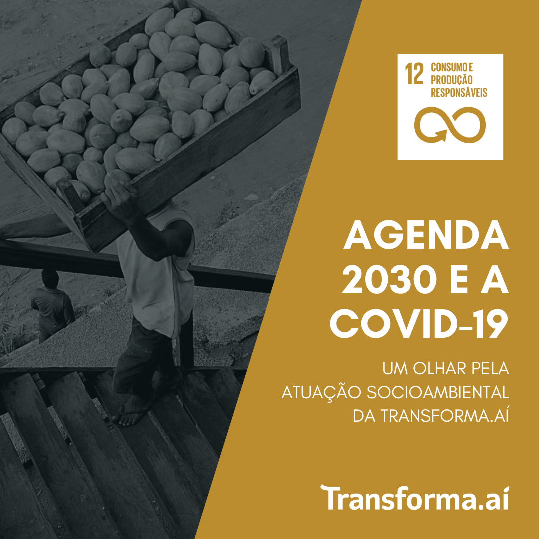 A Covid 19 e o ODS 12 – A necessidade de um “novo” modelo de consumo e produção.