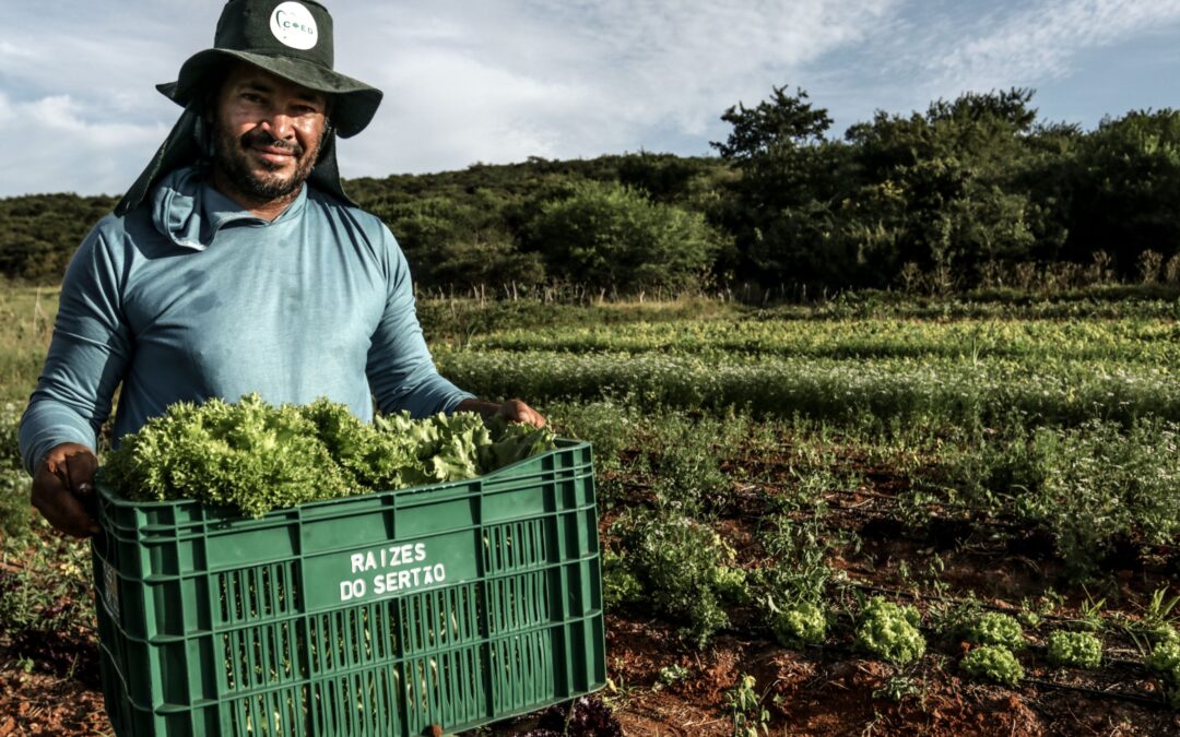 Programa Ventos da Gente | Statkraft