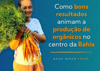 Bons resultados animam a produção de orgânicos no centro da Bahia