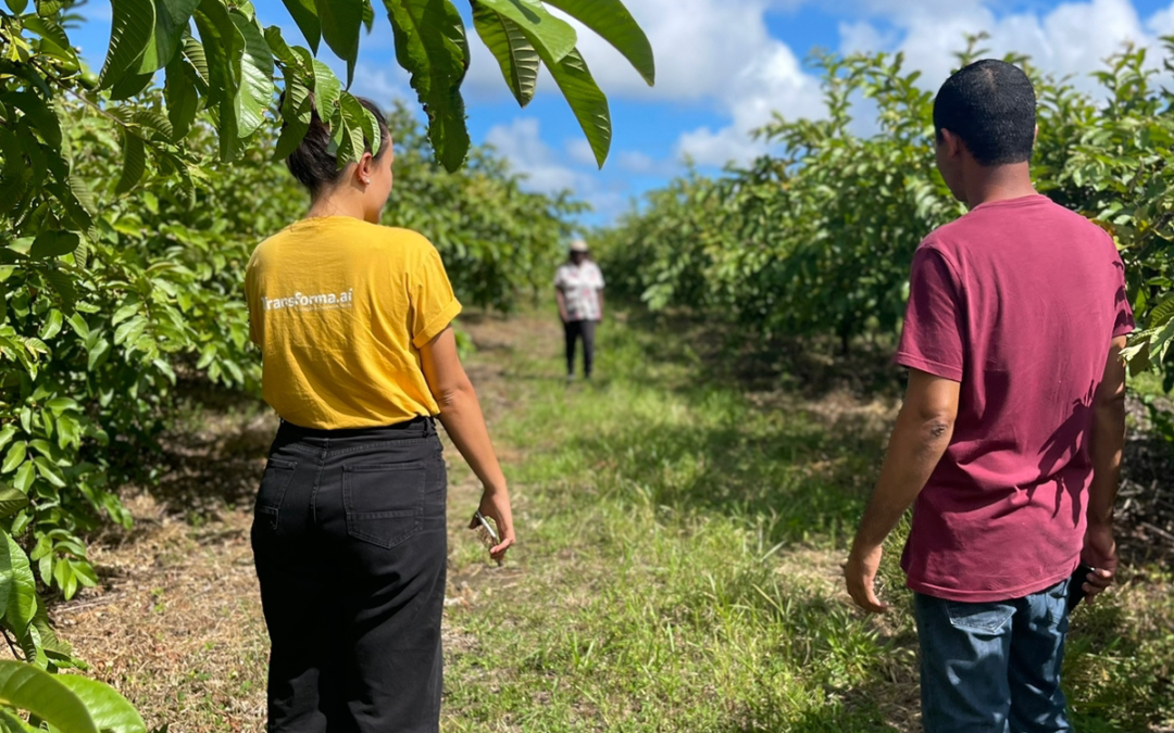 Edital para Incubação e Aceleração de Negócios da Suzano impulsiona empreendedorismo no Estado do Espírito Santo